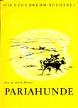 Pariahunde
