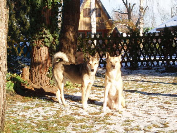 Barakima&Kaito Januar 2009~1