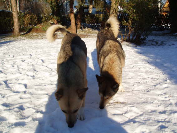 Barakima&Kaito Januar 2009~3